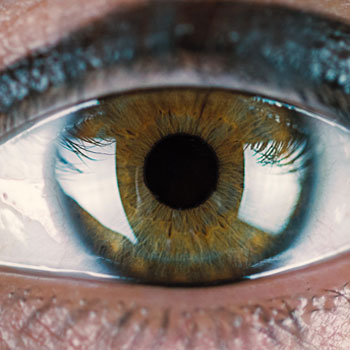 eye_350x350.jpg
